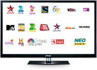 DEN cable India